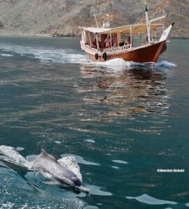 Les 10 meilleures excursions à faire à Khasab en 2025