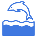 Observation des dauphins